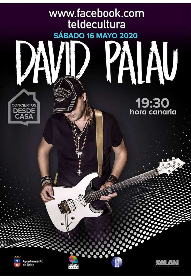 Concierto Online en directo de David Palau